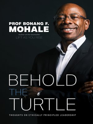 cover image of Behold the Turtle